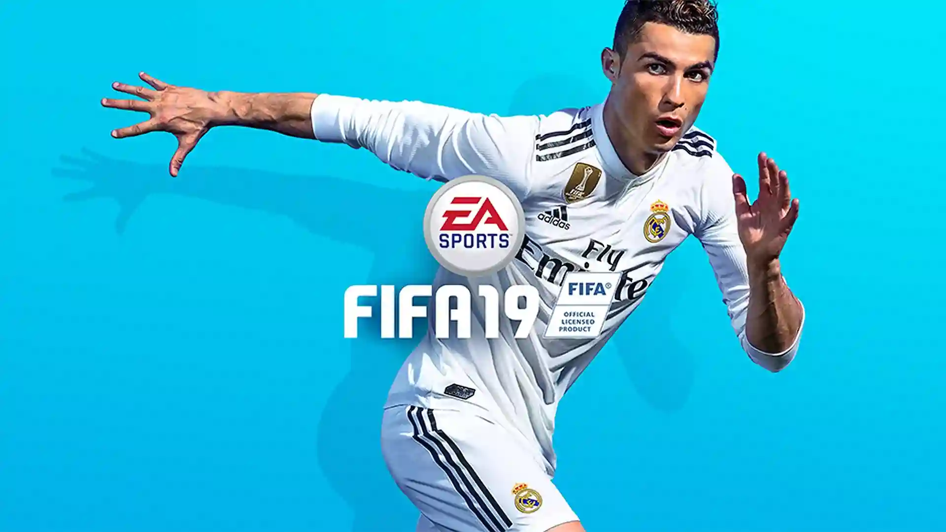 FIFA 19 offline
